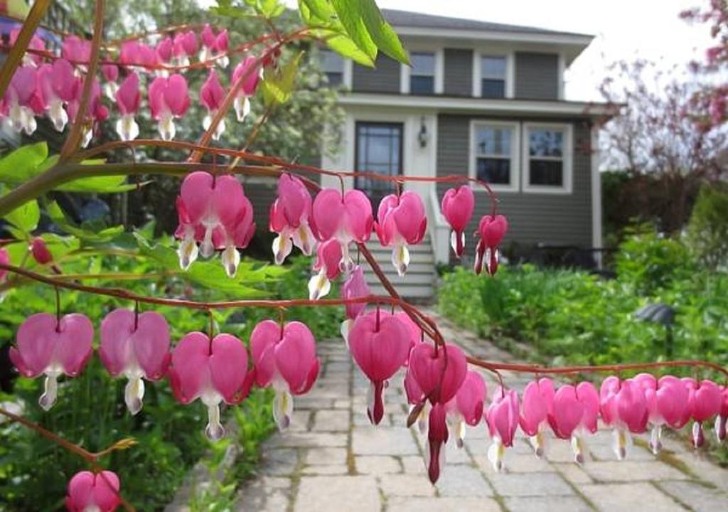 Ogunquit Beach Inn ภายนอก รูปภาพ